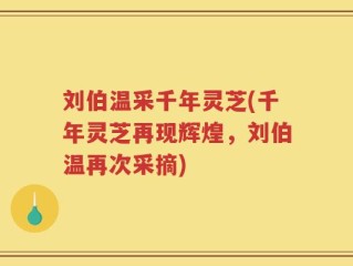 刘伯温采千年灵芝(千年灵芝再现辉煌，刘伯温再次采摘)