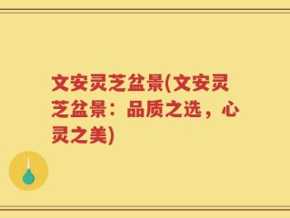 文安灵芝盆景(文安灵芝盆景：品质之选，心灵之美)