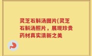 灵芝石斛汤图片(灵芝石斛汤照片，展现珍贵药材真实清新之美