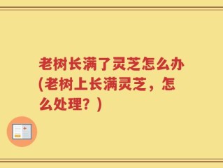 老树长满了灵芝怎么办(老树上长满灵芝，怎么处理？)