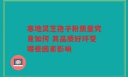寒地灵芝孢子粉质量究竟如何 其品质好坏受哪些因素影响