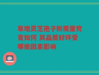 寒地灵芝孢子粉质量究竟如何 其品质好坏受哪些因素影响