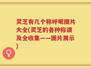 灵芝有几个称呼呢图片大全(灵芝的各种称谓及全收集——图片展示)