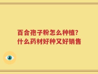 百合孢子粉怎么种植？什么药材好种又好销售