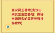 宣汉灵芝基地(宣汉山间灵芝生态基地：探秘全国顶尖的灵芝养殖神秘世界)