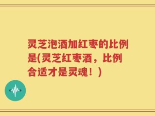 灵芝泡酒加红枣的比例是(灵芝红枣酒，比例合适才是灵魂！)