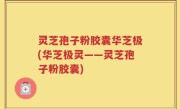 灵芝孢子粉胶囊华芝极(华芝极灵——灵芝孢子粉胶囊)