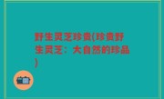 野生灵芝珍贵(珍贵野生灵芝：大自然的珍品)