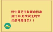 野生灵芝生长要求标准是什么(野生灵芝的生长条件是什么？)