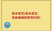贵木灵芝(贵木灵芝：身体健康的灵丹妙药)