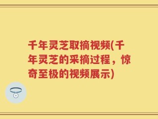 千年灵芝取摘视频(千年灵芝的采摘过程，惊奇至极的视频展示)