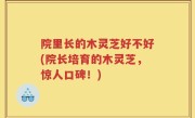 院里长的木灵芝好不好(院长培育的木灵芝，惊人口碑！)