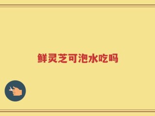 鲜灵芝可泡水吃吗