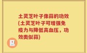 土灵芝叶子像蒜的功效(土灵芝叶子可增强免疫力与降低高血压，功效类似蒜)