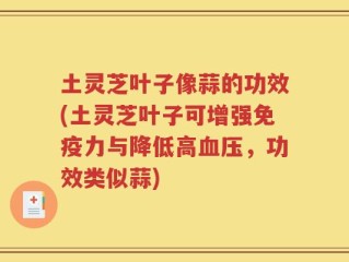 土灵芝叶子像蒜的功效(土灵芝叶子可增强免疫力与降低高血压，功效类似蒜)