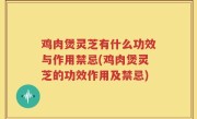 鸡肉煲灵芝有什么功效与作用禁忌(鸡肉煲灵芝的功效作用及禁忌)