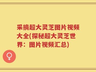 采摘超大灵芝图片视频大全(探秘超大灵芝世界：图片视频汇总)