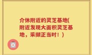 介休附近的灵芝基地(附近发现大面积灵芝基地，采撷正当时！)
