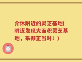 介休附近的灵芝基地(附近发现大面积灵芝基地，采撷正当时！)