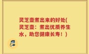 灵芝壶煮出来的好处(灵芝壶：煮出优质养生水，助您健康长寿！)