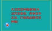 大汉灵芝种植基地(大汉灵芝基地：传承百年古法，打造高品质灵芝种植)
