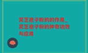 灵芝孢子粉的的作用_灵芝孢子粉的神奇功效与应用