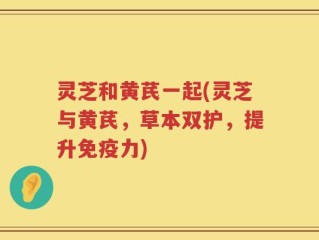 灵芝和黄芪一起(灵芝与黄芪，草本双护，提升免疫力)