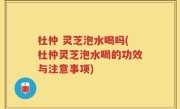 杜仲 灵芝泡水喝吗(杜仲灵芝泡水喝的功效与注意事项)