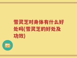 雪灵芝对身体有什么好处吗(雪灵芝的好处及功效)