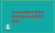 东北大山里的小灵芝能吃吗东北大山小灵芝可食用？)