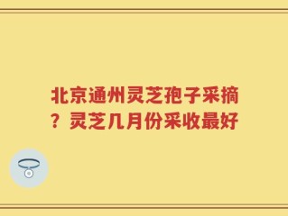 北京通州灵芝孢子采摘？灵芝几月份采收最好