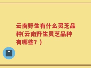 云南野生有什么灵芝品种(云南野生灵芝品种有哪些？)