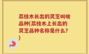荔枝木长出的灵芝叫啥品种(荔枝木上长出的灵芝品种名称是什么？)