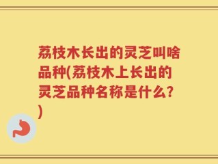 荔枝木长出的灵芝叫啥品种(荔枝木上长出的灵芝品种名称是什么？)