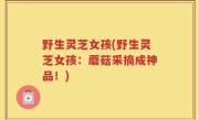 野生灵芝女孩(野生灵芝女孩：蘑菇采摘成神品！)