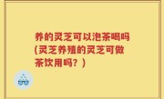 养的灵芝可以泡茶喝吗(灵芝养殖的灵芝可做茶饮用吗？)