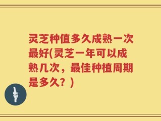 灵芝种值多久成熟一次最好(灵芝一年可以成熟几次，最佳种植周期是多久？)