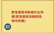 野生紫皮石斛有什么作用(野生紫皮石斛的功效与作用)