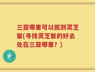 三亚哪里可以抓到灵芝蟹(寻找灵芝蟹的好去处在三亚哪里？)