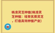杨凌灵芝种植(杨凌灵芝种植：培育优质灵芝，打造高效种植产业)