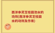 西洋参灵芝桂圆泡水的功效(西洋参灵芝桂圆水的功效及作用)