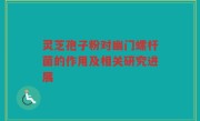 灵芝孢子粉对幽门螺杆菌的作用及相关研究进展