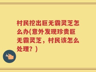 村民挖出巨无霸灵芝怎么办(意外发现珍贵巨无霸灵芝，村民该怎么处理？)