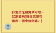 野生灵芝和黄芪可以一起泡酒吗(野生灵芝和黄芪：酒中双剑客？)