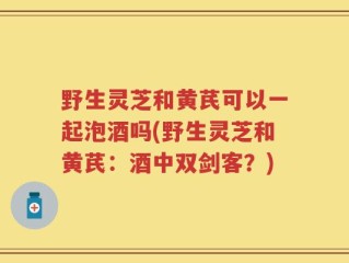 野生灵芝和黄芪可以一起泡酒吗(野生灵芝和黄芪：酒中双剑客？)