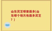 山东灵芝哪里最多(山东哪个地方有最多灵芝？)