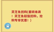 灵芝鱼团购(重磅来袭!灵芝鱼超值团购,抢购专享优惠!)