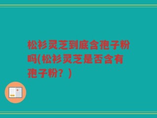 松衫灵芝到底含孢子粉吗(松衫灵芝是否含有孢子粉？)