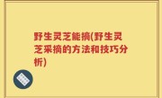 野生灵芝能摘(野生灵芝采摘的方法和技巧分析)