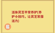 活体灵芝平常养护(养护小技巧，让灵芝常葆活力)